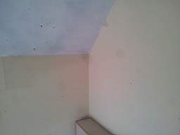 fkillineybeforeinternal 1060.jpg